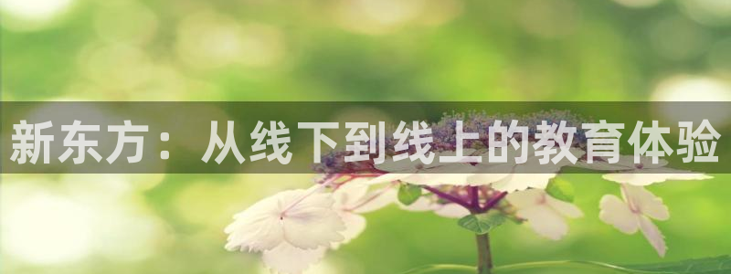 第七影院色综合